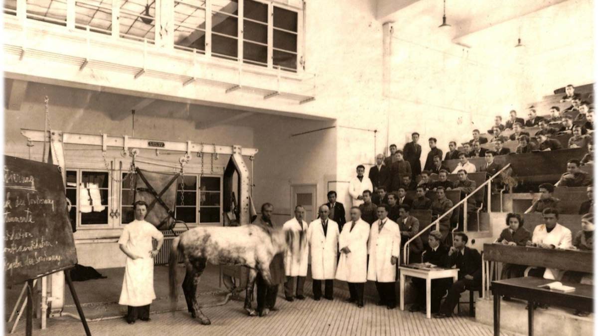 Tarihi amfi, ilk günkü gibi korunuyor