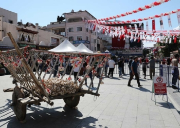 Taşköprü Kültür ve Sarımsak Festivali başladı