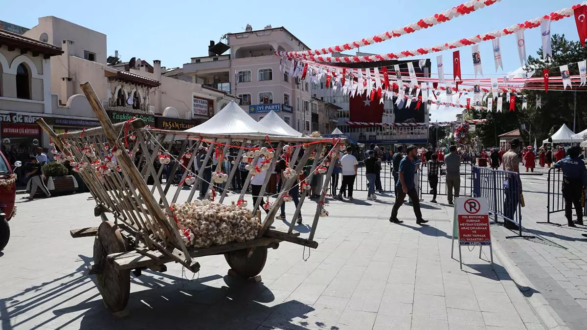 Taşköprü kültür ve sarımsak festivali başladı
