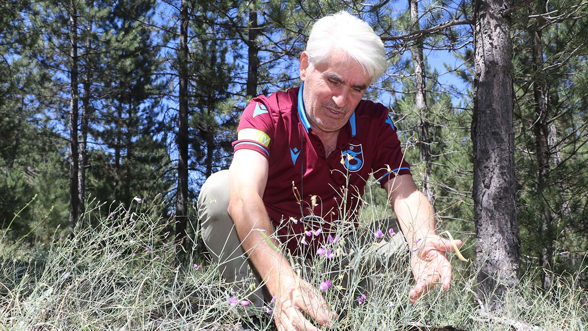 'Tefenni moru' için 11 yıldır koruma bekliyor