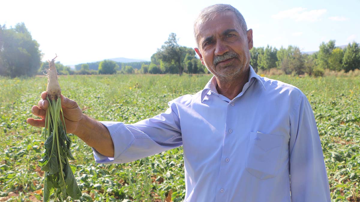 Tokat'ta, 40 bin dönüm arazinin sulama sorunu