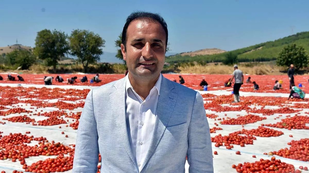 Torbalidan abd ve avrupaya domates ihracati 2 - yerel haberler - haberton