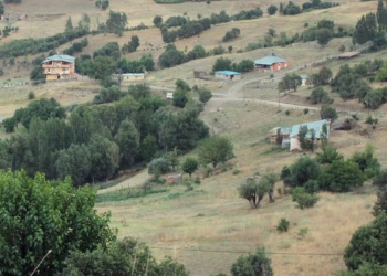 Tunceli'de kuduz alarmı; Köy karantinaya alındı