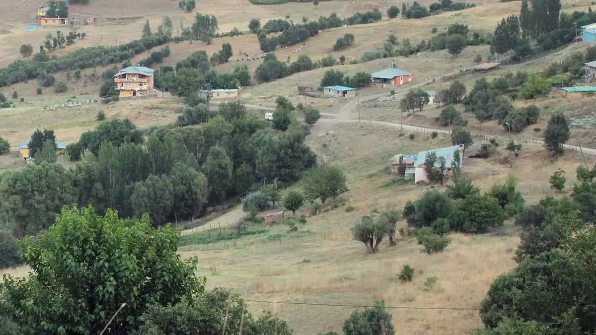 Tunceli'de kuduz alarmı; köy karantinaya alındı