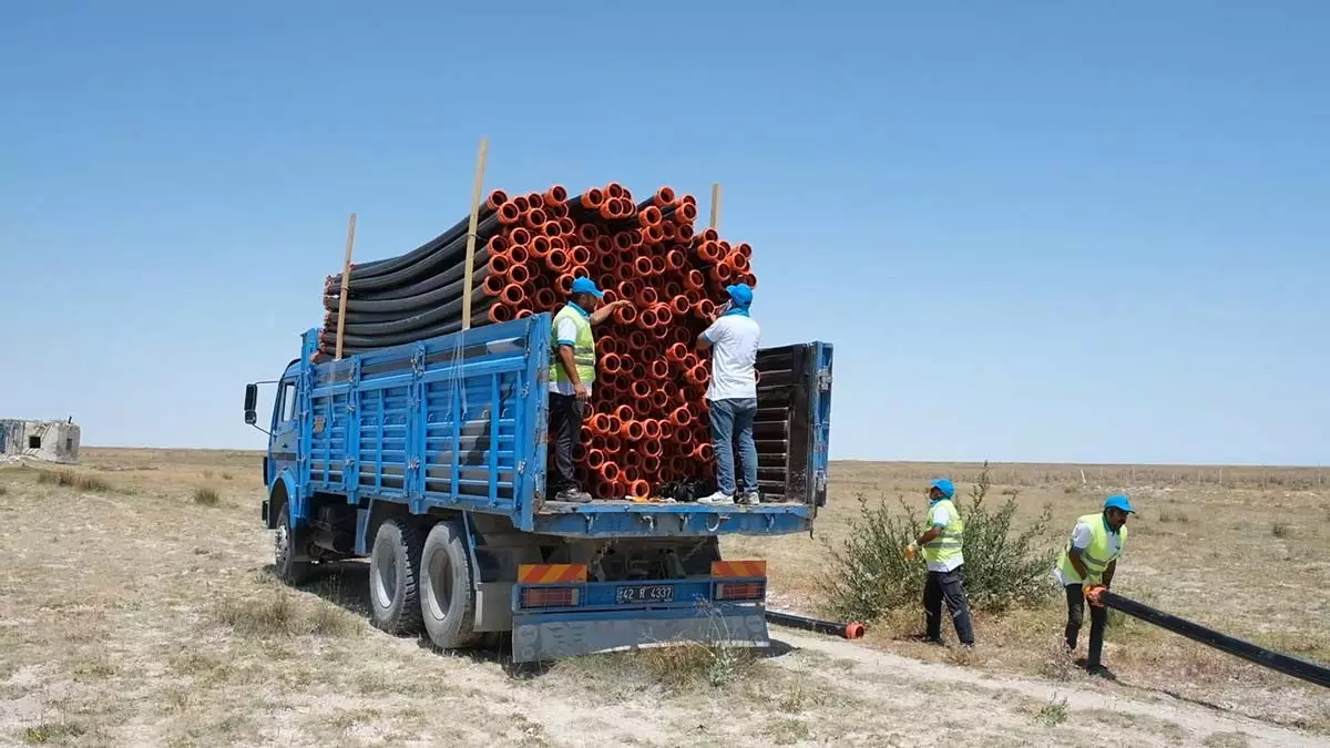 Tuz golune tasinan su flamingolara can oldu 1 - yerel haberler - haberton