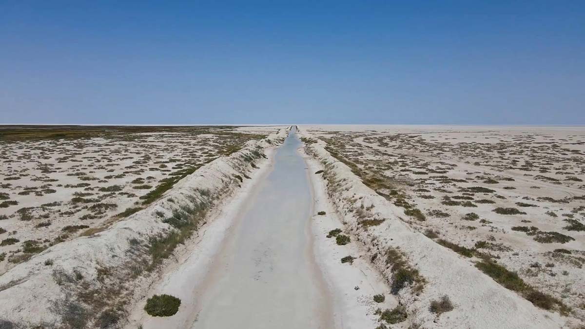 Tuz Gölü'ne taşınan su flamingolara can oldu