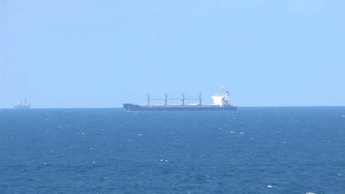 Ukrayna'dan çıkan 3 gemiden ilki İstanbul'da