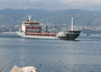 Ukrayna'dan gelen mısır yüklü gemi Kocaeli'de