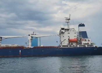 Ukrayna'nın tahıl gemisi Razoni yola çıktı