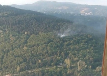 Uludağ eteklerinde orman yangını