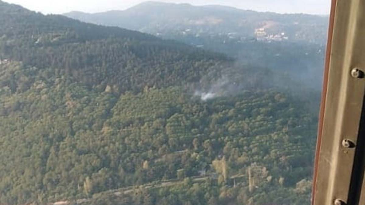 Uludağ eteklerinde orman yangını