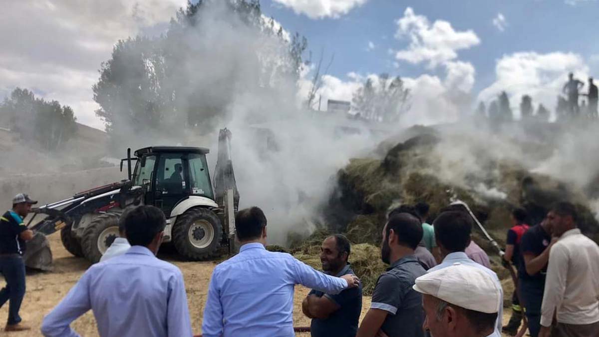 Van'daki ot yangını 5 bin bağ otu küle çevirdi