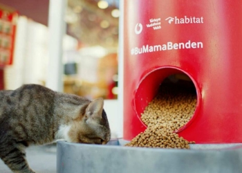 Vodafone'dan sokak hayvanlarına yönelik kampanya