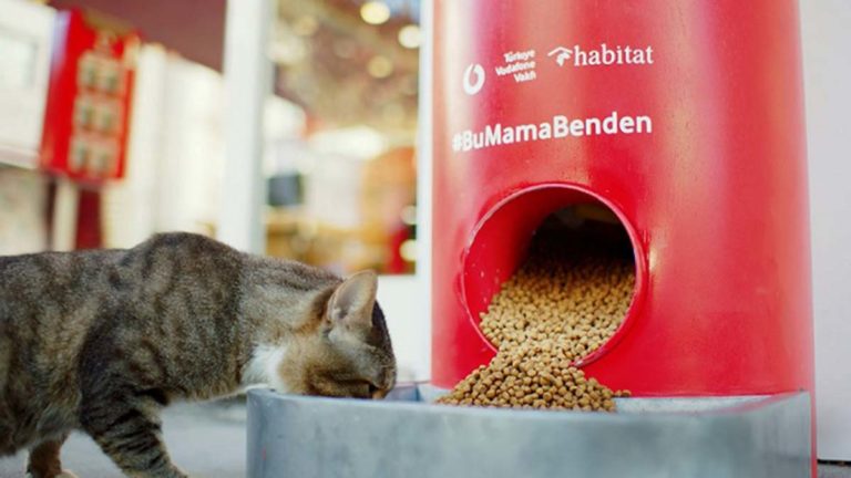 Vodafone’dan sokak hayvanlarına yönelik kampanya