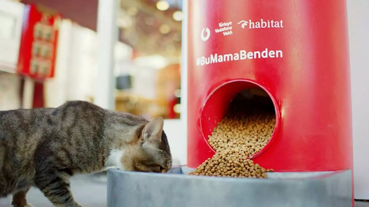 Vodafone'dan sokak hayvanlarına yönelik kampanya