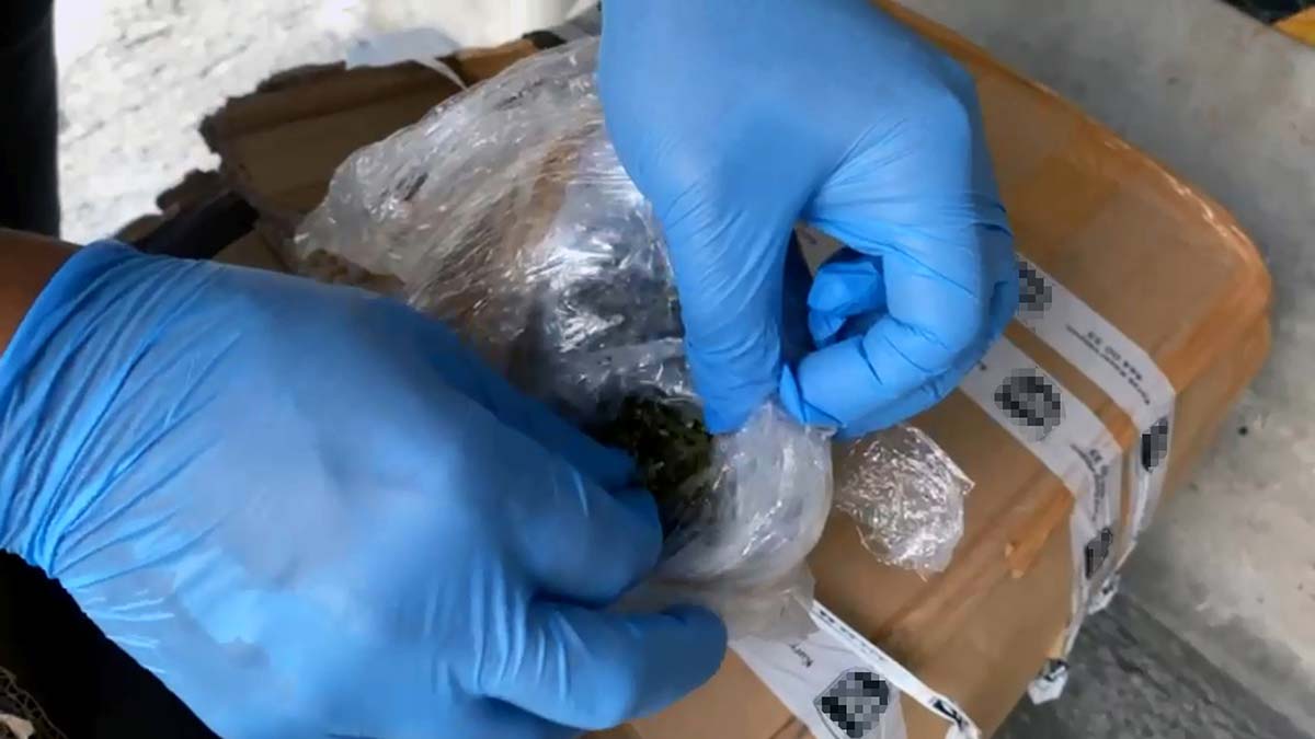 Kargo dağıtım merkezine teslim edilen 2 kolide esrar çıktı