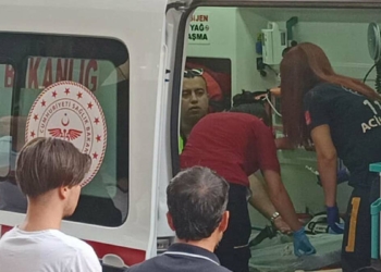 Ehliyetini isteyen polislere yasaklı ırk köpeğini saldırttı