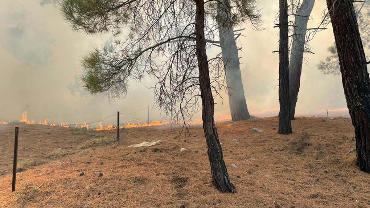 Kaş'ta orman yangını çıktı