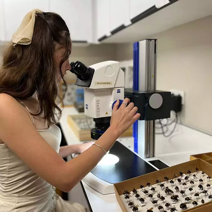 İstanbul üniversitesi fen fakültesi biyoloji bölümü dr. Öğretim üyesi fatih dikmen, iklim krizinin arılar üzerindeki etkisini anlatarak, "i̇klim krizinin olumsuz etkileriyle arıların nesli tehlike altında" dedi.