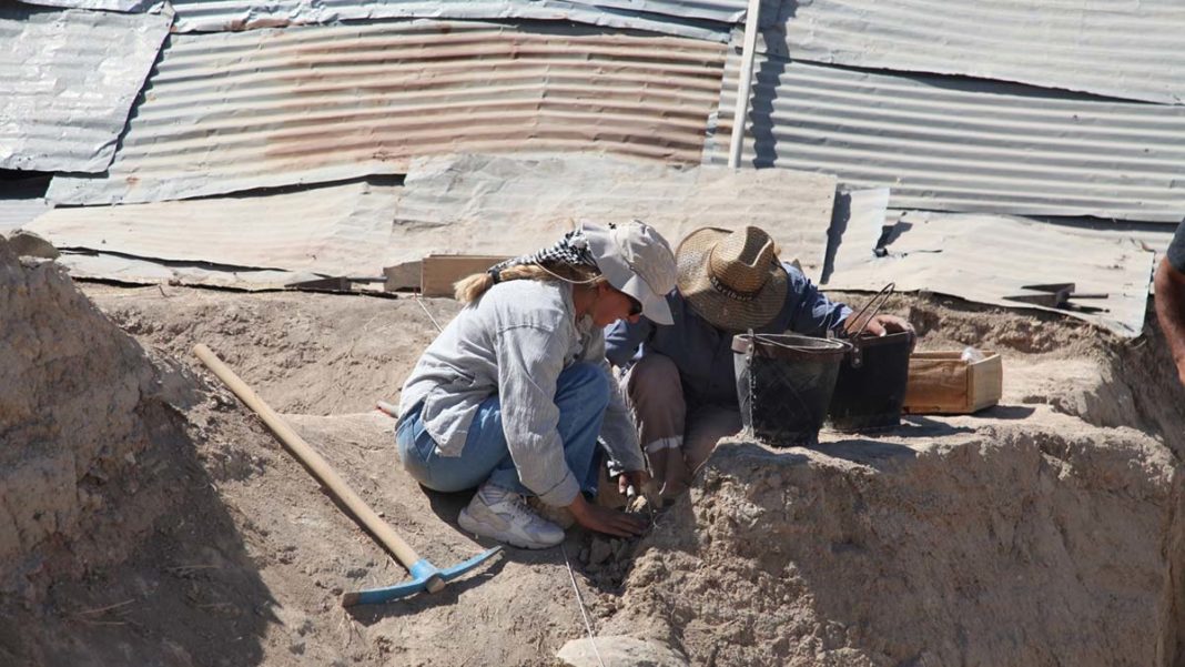 Arslantepe Höyüğü'nde kazı çalışmaları yeniden başladı