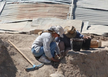 Arslantepe Höyüğü'nde kazı çalışmaları yeniden başladı