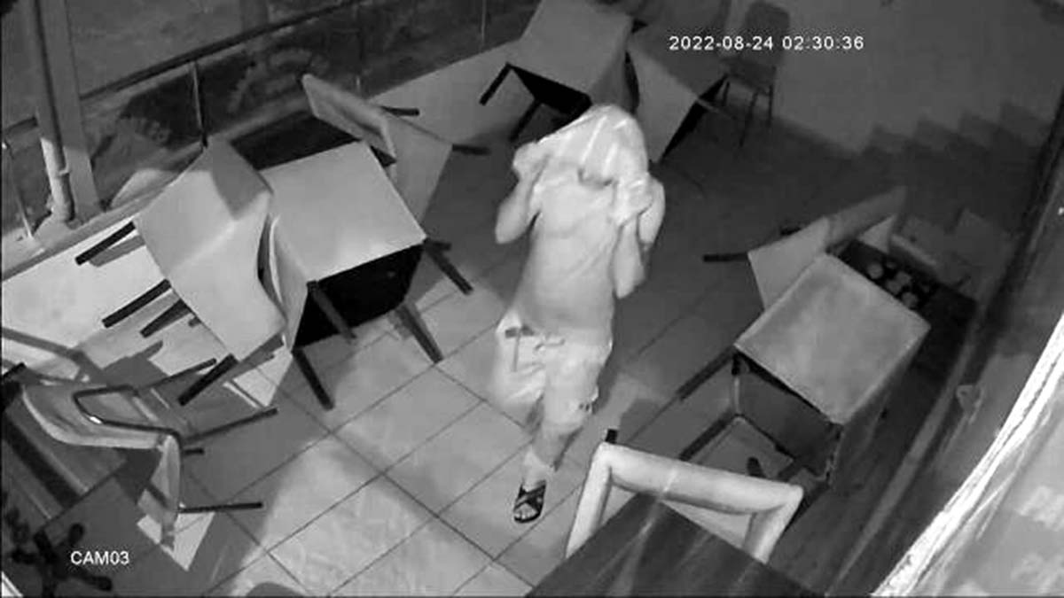 Börekçiden bilgisayar çalan hırsız kamerada