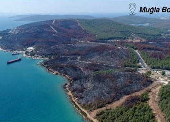 Orman yangınında zarar gören alanlar ağaçlandırıldı