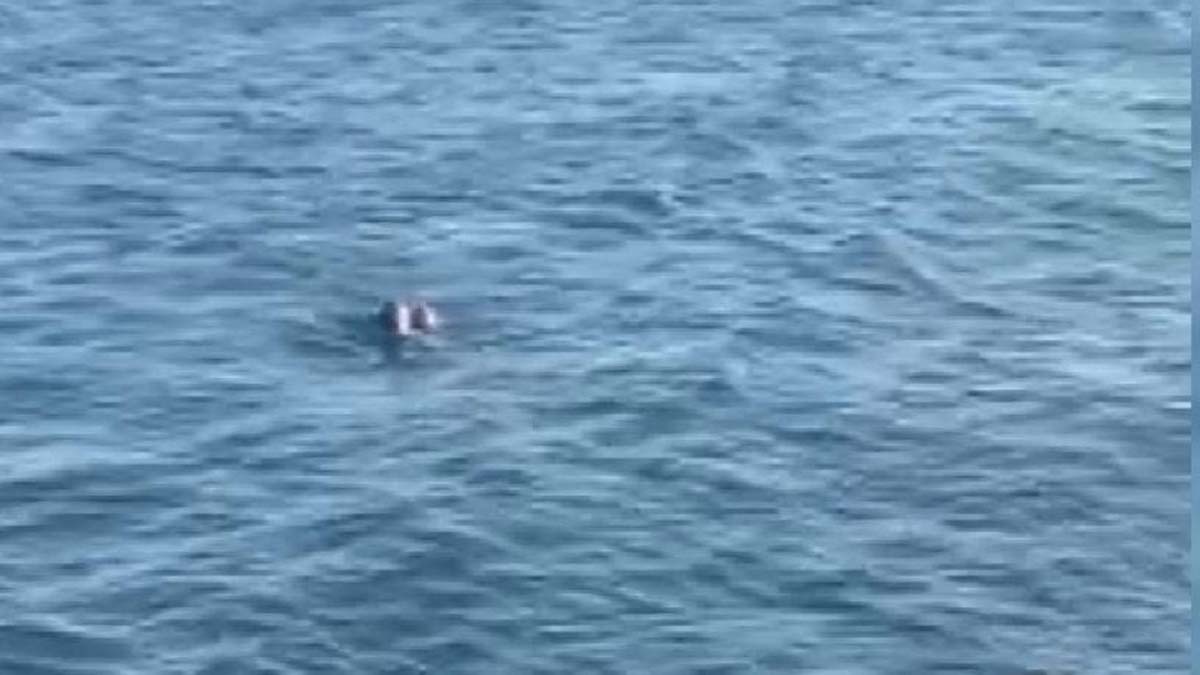 Bakırköy sahilde denize atladı; Hastaneye kaldırıldı