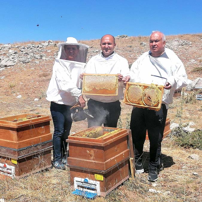 Dünyanın en iyi balının hasadına başlandı