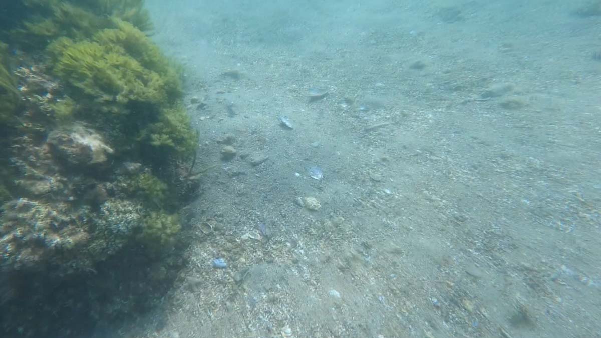 Av sezonu öncesi Marmara için uyarı