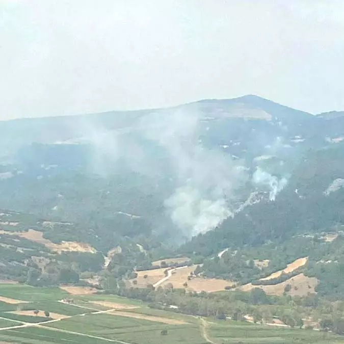 Balıkesir'de çıkan orman yangınları söndürüldü