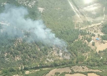 Balıkesir'de çıkan orman yangınları söndürüldü