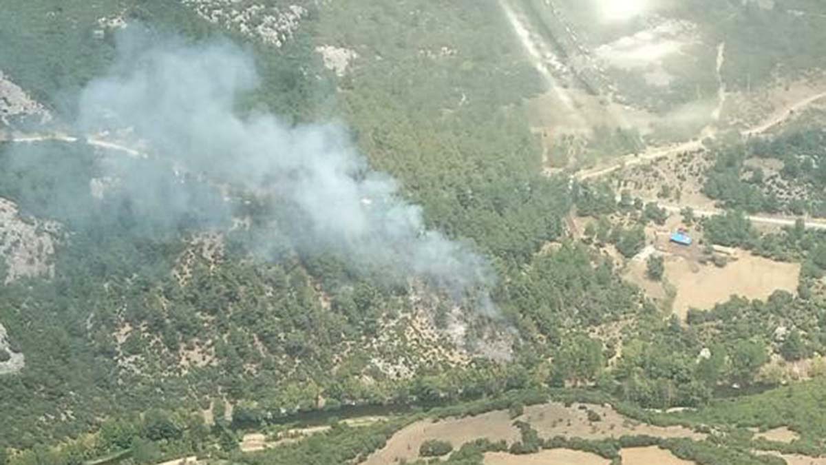 Balıkesir'de çıkan orman yangınları söndürüldü