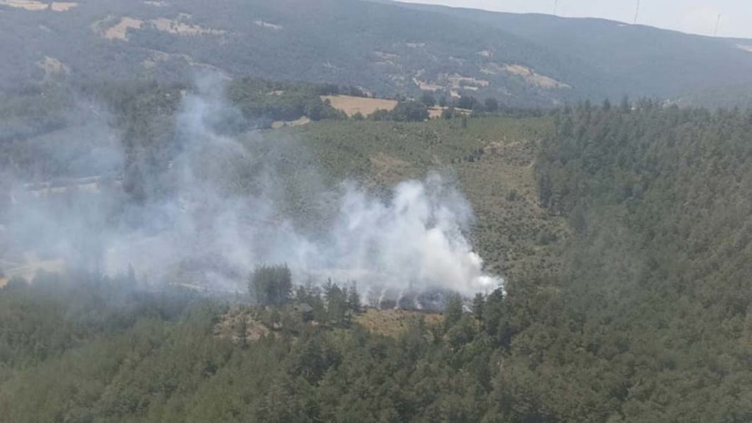 Bursa'da çıkan orman yangını söndürüldü