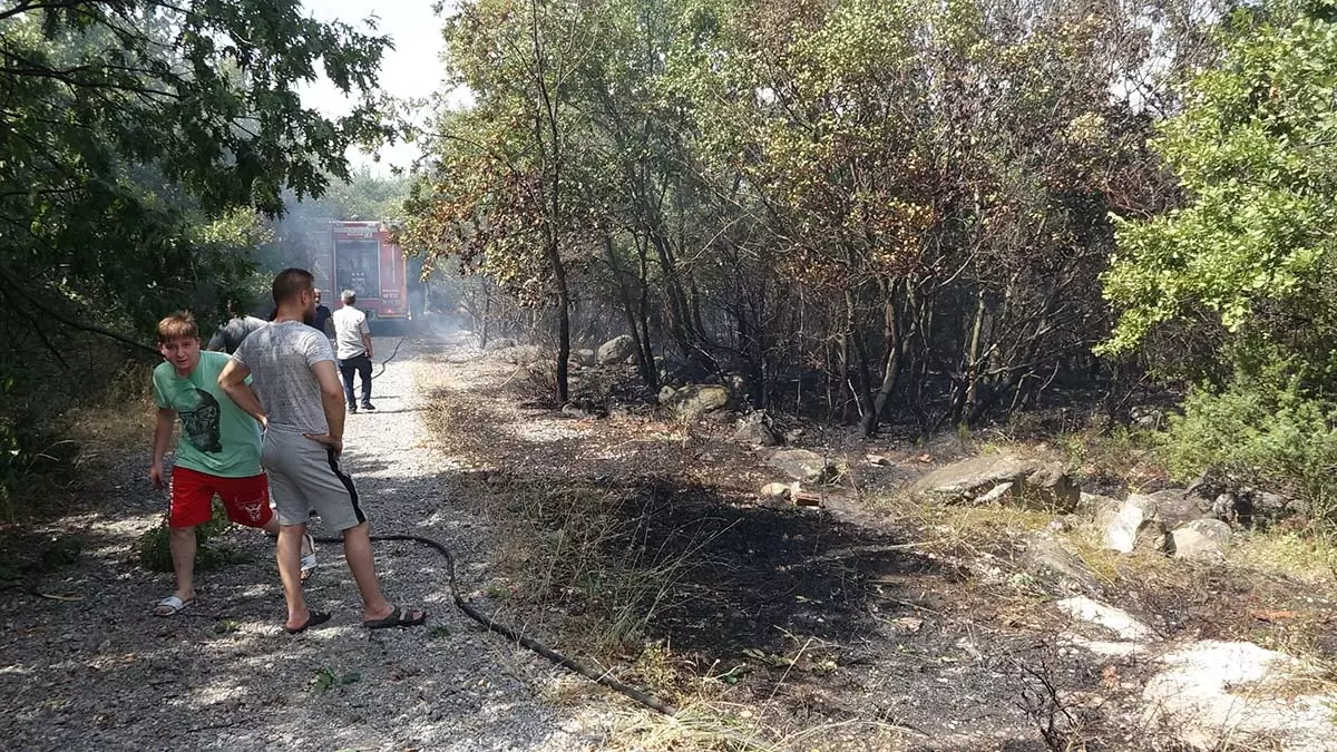 Bursa'da ormanda iki farklı noktada yangın