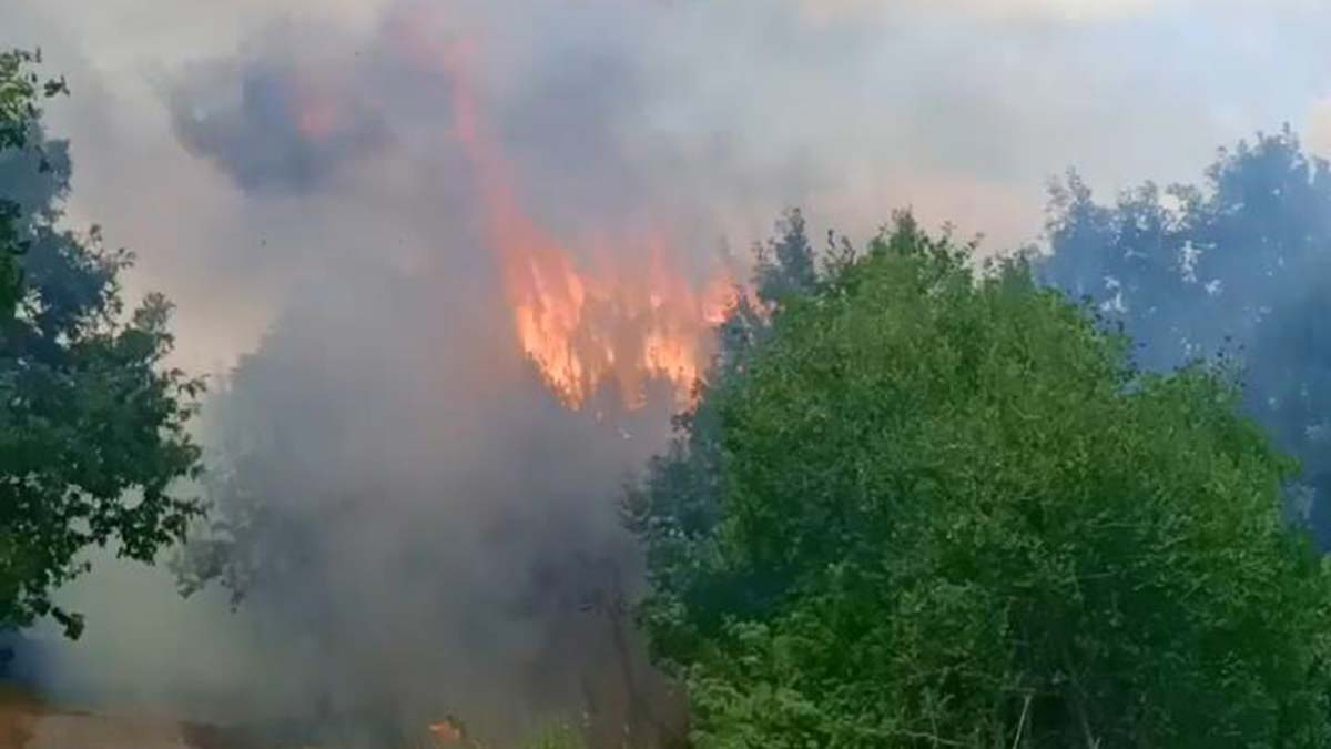 PKK'nın talimatıyla orman yangını çıkarmak isteyen kişi yakalandı