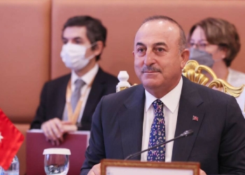 Çavuşoğlu, Türkiye-ASEAN Sektörel Diyalog toplantısına katıldı
