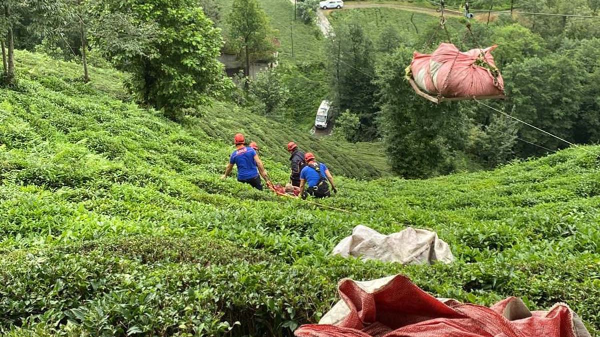İlkel teleferiğin sepetinin çarpmasıyla yaralandı