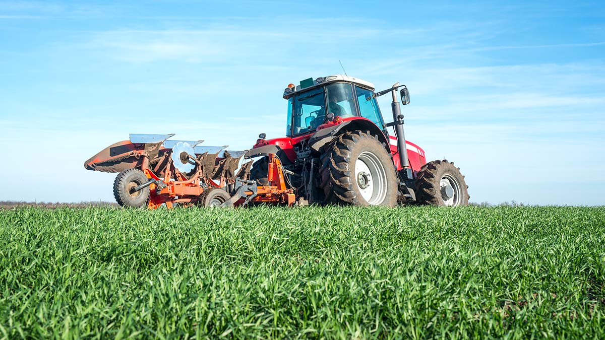 Tarımsal destek ödemeleri bugün hesaplara yatıyor