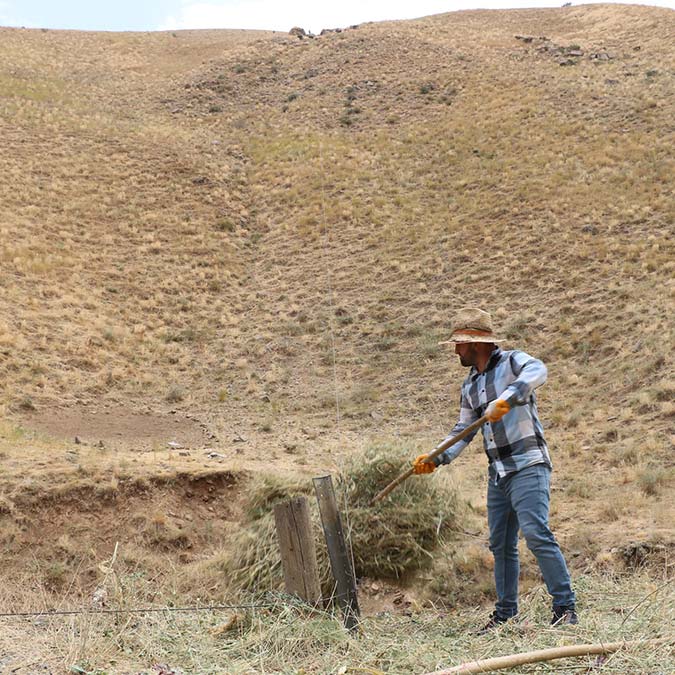 Biçtikleri otları köye taşımak için çelik halat döşediler