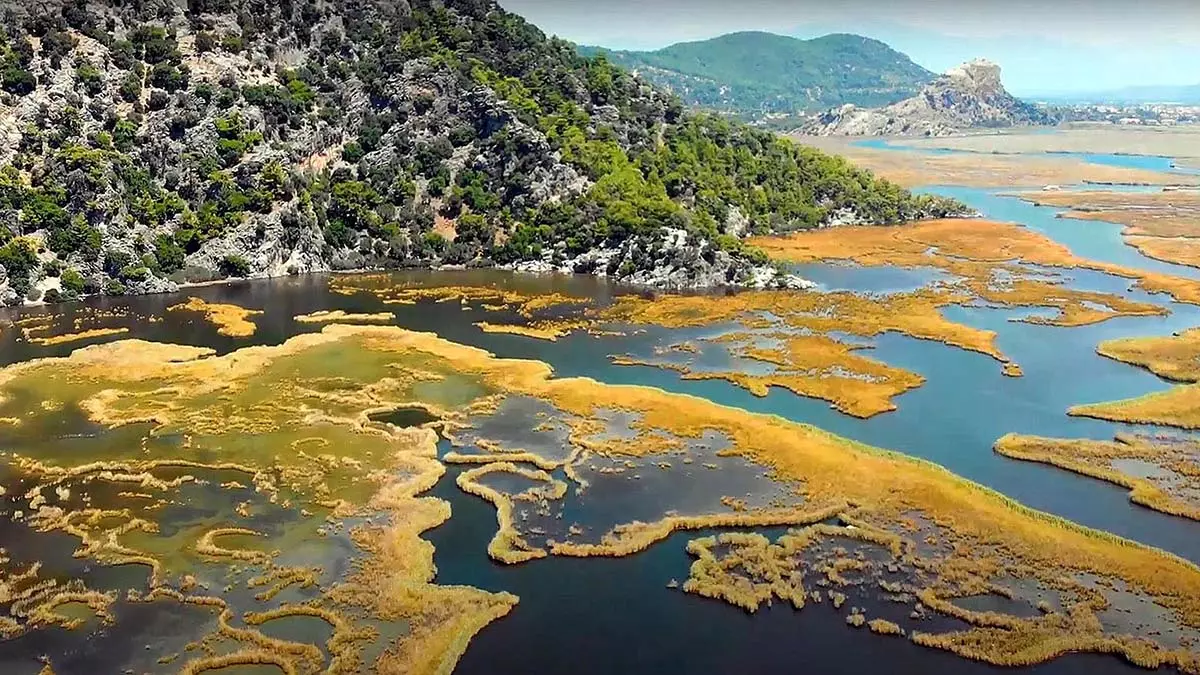 Dalyan kanalinin labirent gibi sazliklari havadan goruntulendi 8628 dhaphoto1 - yaşam - haberton