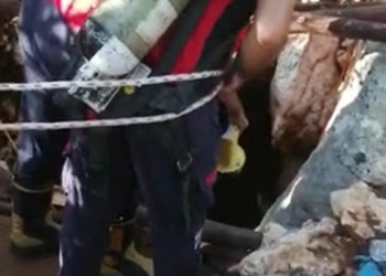 Define aramak için girdikleri kuyuda zehirlendiler