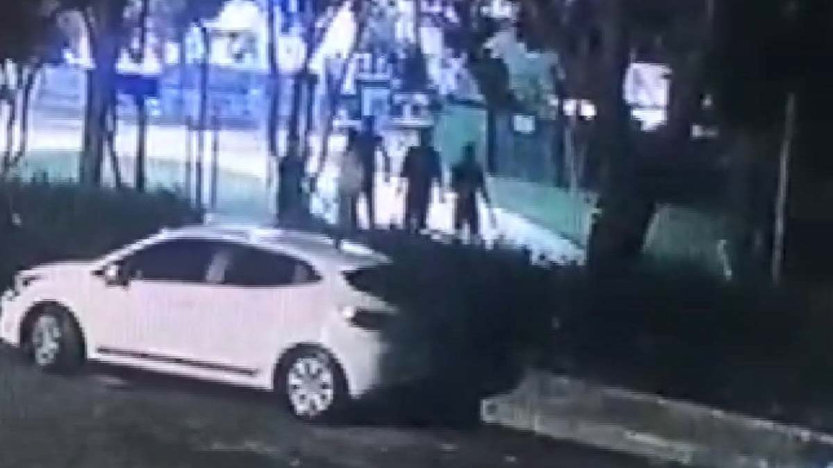 İnternetten tanıştığı kızın erkek arkadaşı pitbull köpekle saldırdı