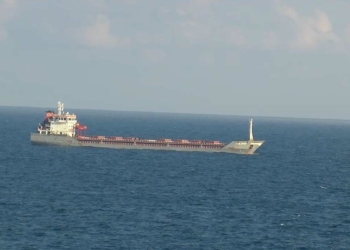 Tahıl yüklü Türk bandıralı Polarnet denetim bekliyor