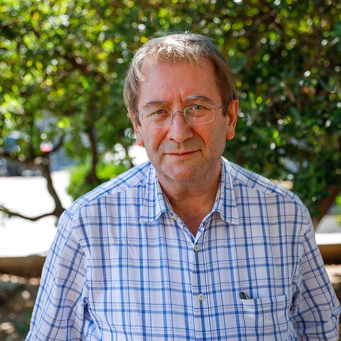 İstanbul'da Aedes tehlikesi