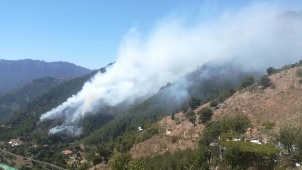 Kahramanmaraş'ta orman yangını