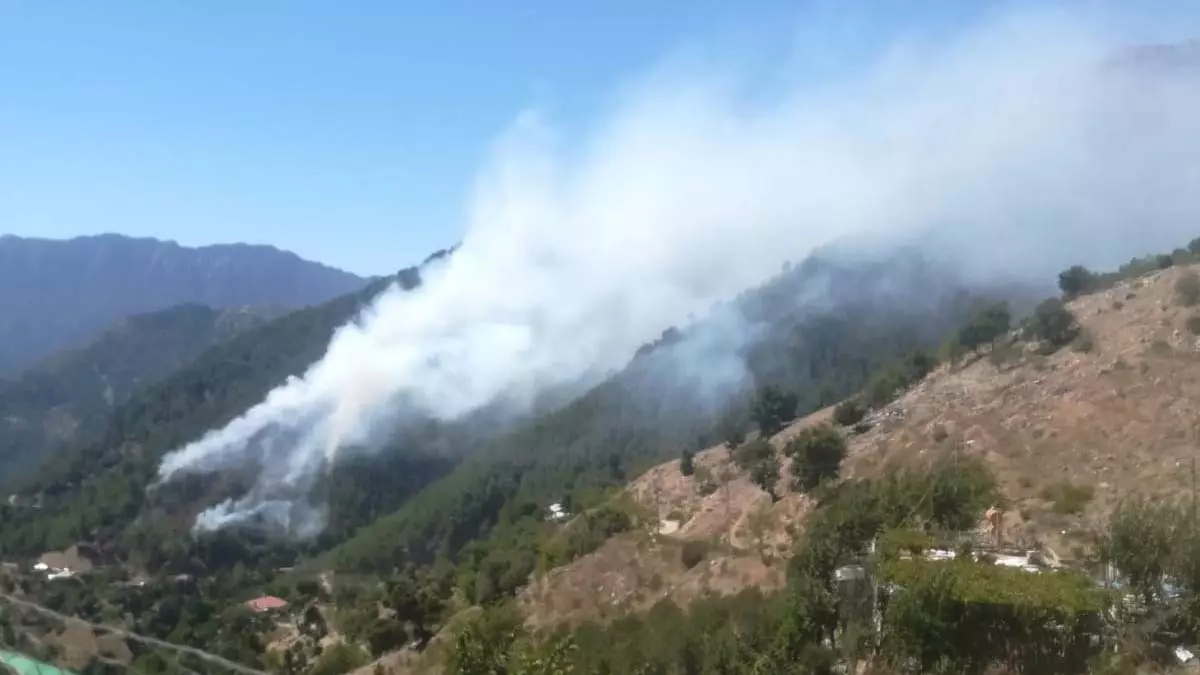 Kahramanmaraş'ta orman yangını