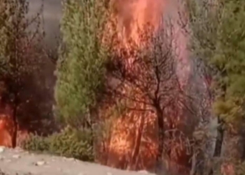 Kahramanmaraş'ta orman yangını