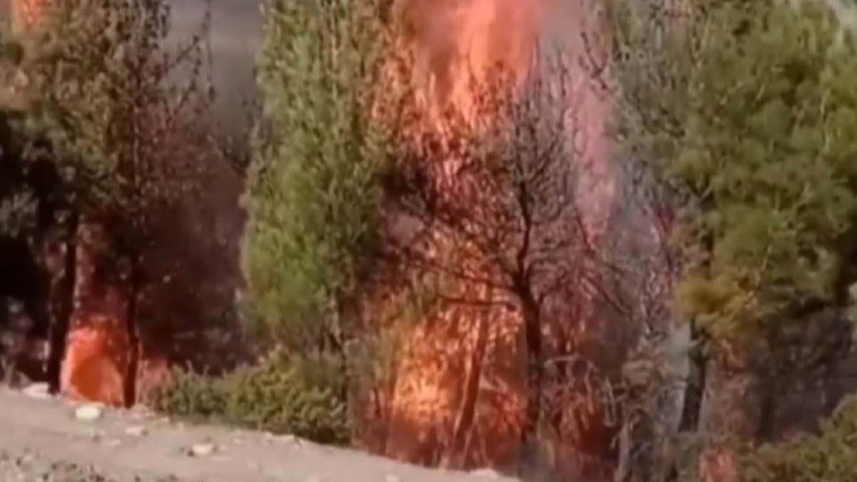 Kahramanmaraş'ta orman yangını