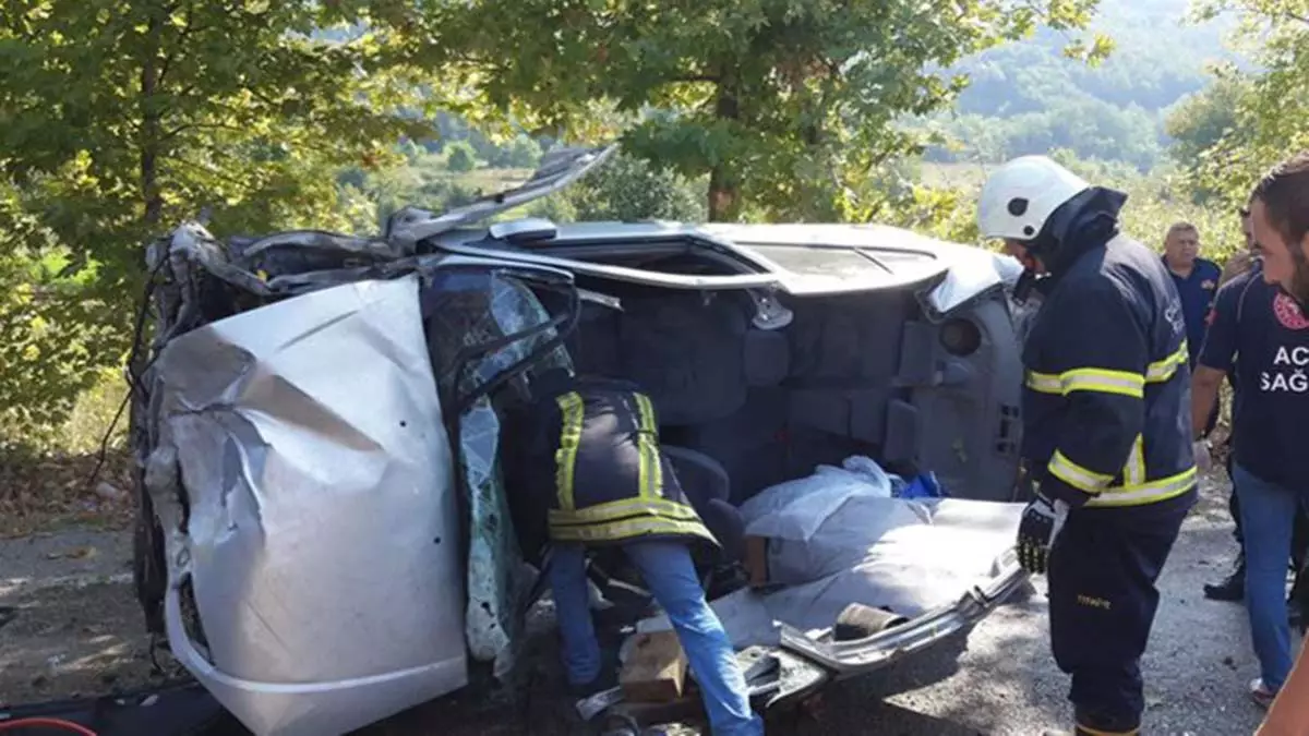 Hollanda'da yoldan çıkan kamyonet parka daldı; 6 ölü 7 yaralı